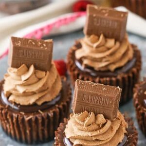 Cheesecake Cupcakes - Chocolate