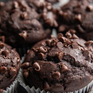 Cupcakes - Chocolate Chocolate Chip
