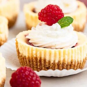 Cheesecake Cupcakes - Raspberry